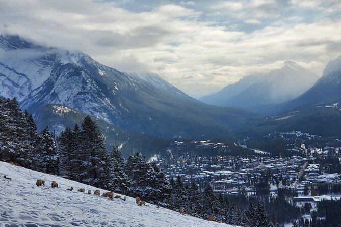 Spectacular Banff Day - Gondola Included - A One-Day Plan That Actually Feels Doable