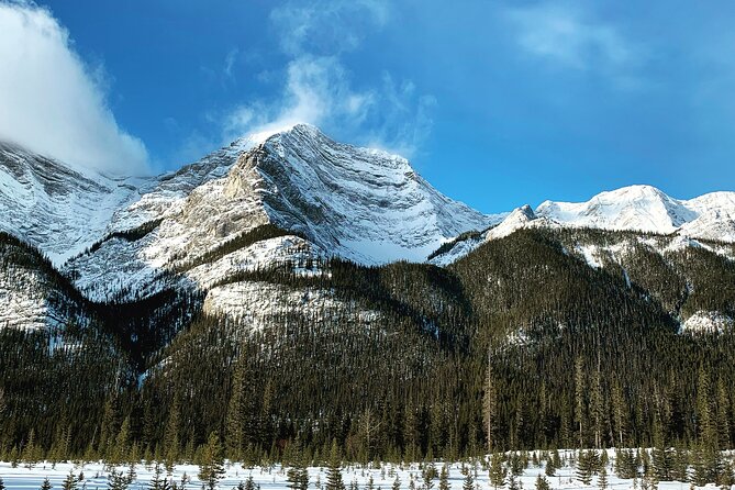 The BANFF NATURE Walk - 2hr Adventure - Johnston Lake-Style Views and Off-the-Crowd Stops