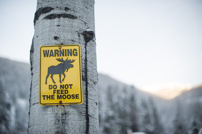 The BANFF NATURE Walk - 2hr Adventure - Price and Value: What You’re Paying For at $81.56