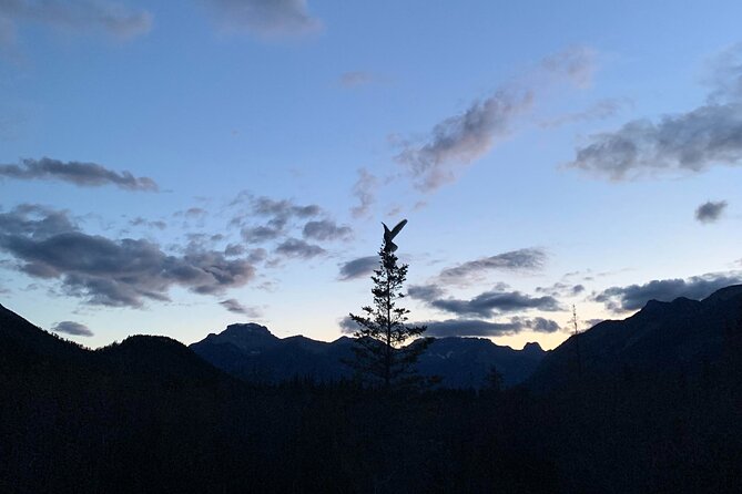 The Banff Stargazing Tour - 2hr Walking Tour - What You’ll See and Learn: Constellations, Milky Way, and Banff Stories