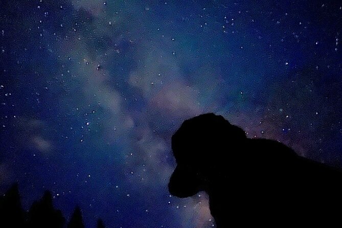 The Banff Stargazing Tour - 2hr Walking Tour - Timing Rules: Sunset-Based Departure and Cloud Cover Limits