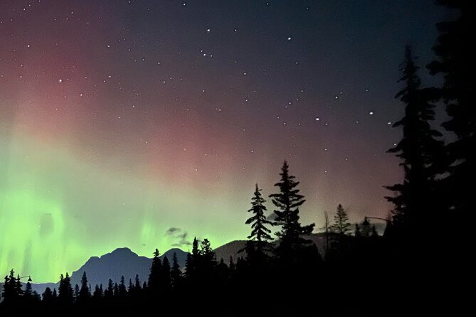 The Banff Stargazing Tour - 2hr Walking Tour - Value for $68.34: What You’re Actually Buying