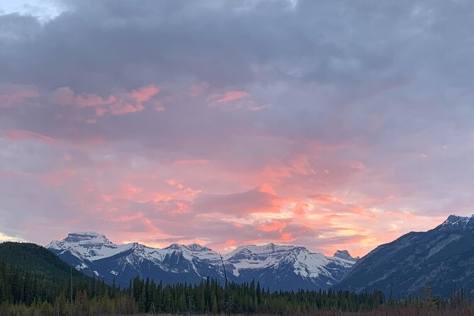 The Banff Stargazing Tour - 2hr Walking Tour - Final Call: Should You Book the Banff Stargazing Tour?