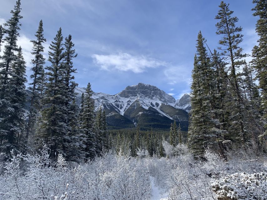 The Canmore HISTORY TOUR - Cowboys and Coal Miners 2H Walk - Safety With Bear Spray and a First-Aid Kit
