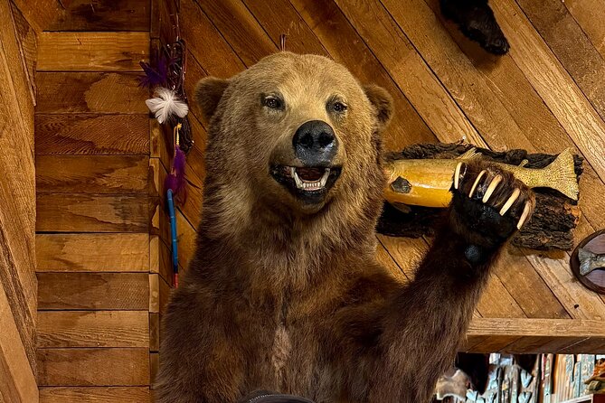 Town of Banff Highlights 2 Hour Walking Tour | Gratuity-Based - Banff Avenue: Getting the Big Picture in 15 Minutes