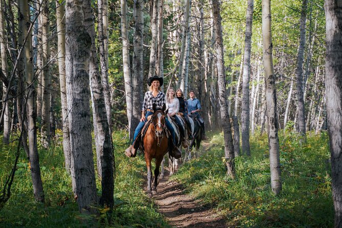Valley Vista 1.5 Hour Horseback Trail Ride in Kananaskis - A smart “next step” horseback ride from Boundary Ranch