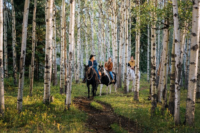Valley Vista 1.5 Hour Horseback Trail Ride in Kananaskis - What makes the scenery feel worth the drive in Kananaskis