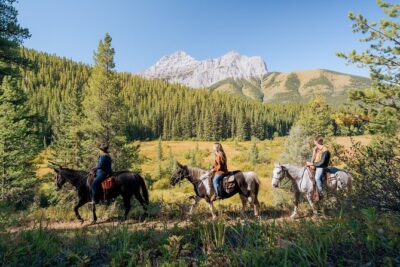 Valley Vista 1.5 Hour Horseback Trail Ride in Kananaskis - The Valley Vista trail: aspen grove, pond views, and lodgepole pines