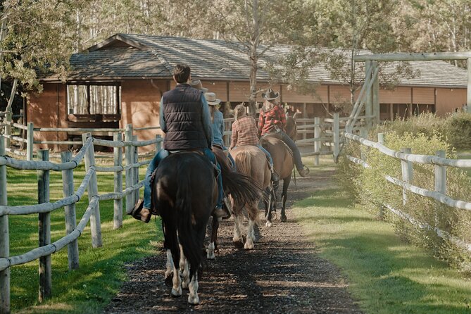 Valley Vista 1.5 Hour Horseback Trail Ride in Kananaskis - Skill level and horse handling: suitable for beginners, with real trail time