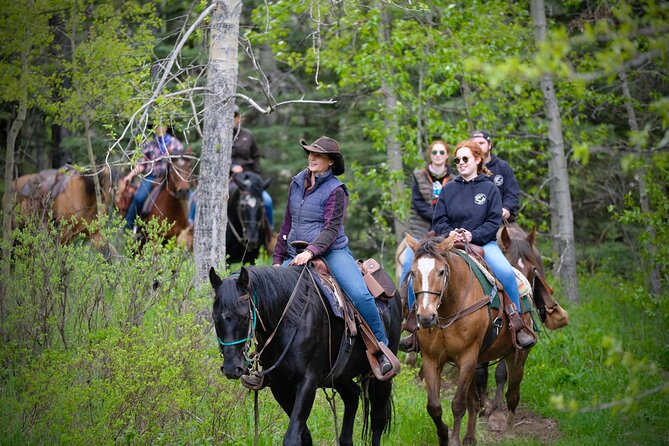 Valley Vista 1.5 Hour Horseback Trail Ride in Kananaskis - Where you meet and how the ride ends