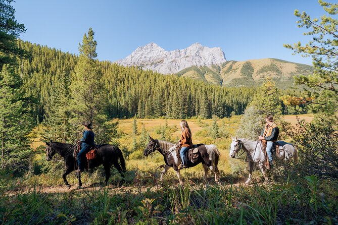 Valley Vista 1.5 Hour Horseback Trail Ride in Kananaskis - The Valley Vista trail: aspen grove, pond views, and lodgepole pines