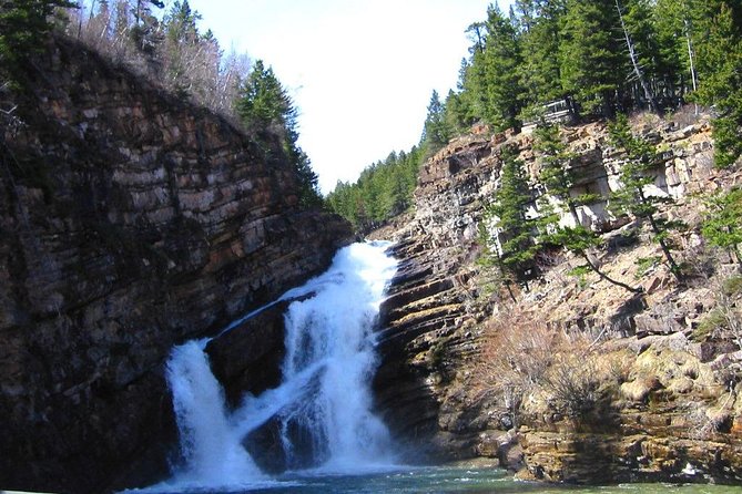 Waterton Lakes National Park Scenic Day Tour from Calgary - Buffalo Paddock and the Okotoks Big Rock backup plan