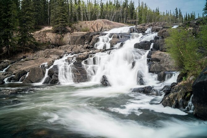 Waterton Lakes National Park Scenic Day Tour from Calgary - Who this tour suits best