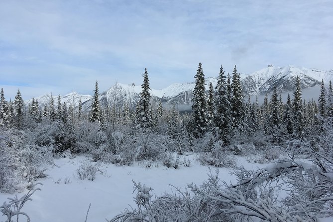Wilderness and Wildlife Hiking Tour - 3hr Hike - Wildlife expectations: signs count, sightings vary