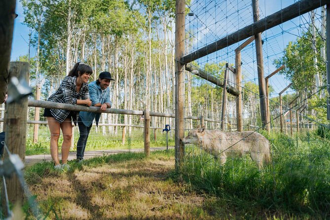 Yamnuska Wolfdog Sanctuary Walk Ticket in Canada - The gift shop, souvenirs, and why your ticket matters
